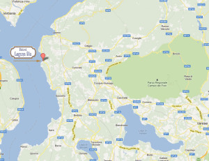 where